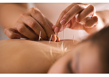 DIE PRAXIS FÜR TRADITIONELLE CHINESISCHE MEDIZIN photo DIE PRAXIS FÜR TRADITIONELLE CHINESISCHE MEDIZIN