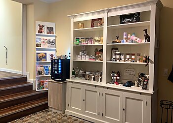 DOGing Station Hundesalons photo DOGing Station Hundesalons