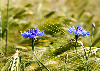 Dr. med. Claus-Dieter Pflaum - Praxis für Endokrinologie photo Dr. med. Claus-Dieter Pflaum - Praxis für Endokrinologie