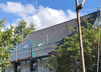 Dachservice-Pintilei Dachservice-Pintilei