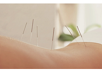 Daniela Hollands Heilpraktikerin image Daniela Hollands Heilpraktikerin