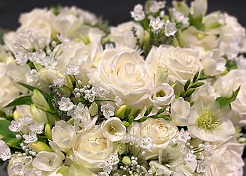 Das Blumenhaus photo Das Blumenhaus