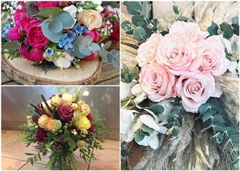 Das Blumenhaus image Das Blumenhaus