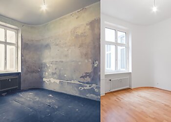 David Noack GmbH photo David Noack GmbH