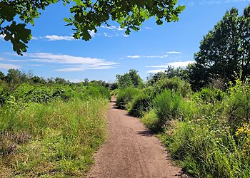 Dellbrücker Heide photo Dellbrücker Heide