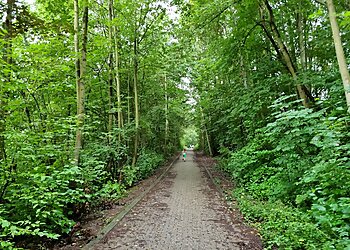 Dellbrücker Heide image Dellbrücker Heide