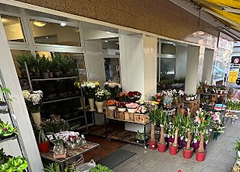 Der Blumenmann photo Der Blumenmann