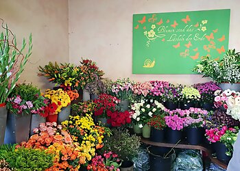 Der Florist photo Der Florist