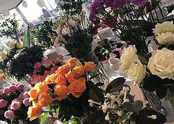 Deuro Blumencenter Mönchengladbach image Deuro Blumencenter Mönchengladbach