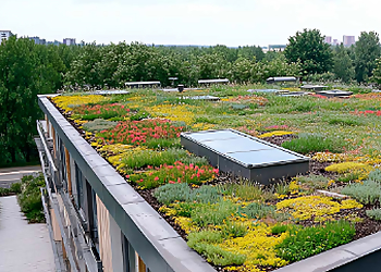 Deutschmann GARTEN-UND LANDSCHAFTSBAU image Deutschmann GARTEN-UND LANDSCHAFTSBAU
