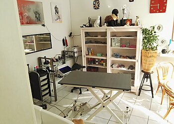 Dog Cat Fashion Line photo Dog Cat Fashion Line