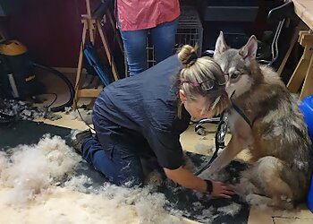 Dog Station Essen photo Dog Station Essen