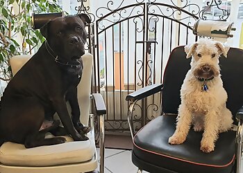 Dog Station Essen image Dog Station Essen