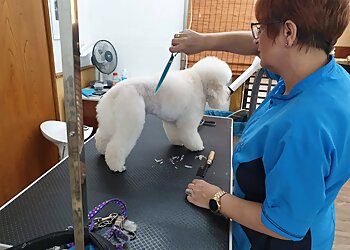 Dog-Styling-Saloon photo Dog-Styling-Saloon