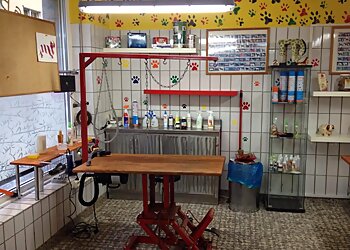 Doggy's Beauty Shop photo Doggy's Beauty Shop