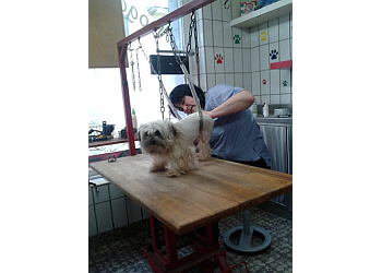 Doggy’s Beauty Shop Hundesalon