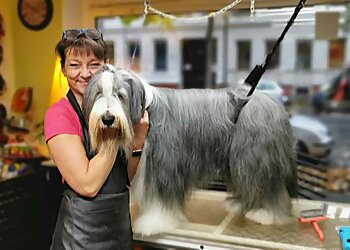 Dogs an der Kö image Dogs an der Kö