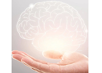 Dr. A.S. med. T. Tavakkoli photo Dr. A.S. med. T. Tavakkoli