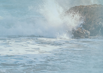 Dr. Yvonne Radtke photo Dr. Yvonne Radtke