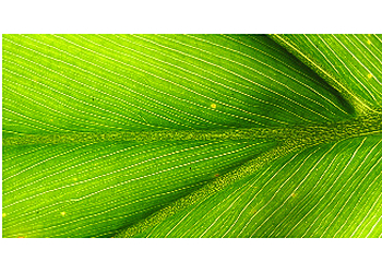 Dr. med. Fay Janet Sand photo Dr. med. Fay Janet Sand