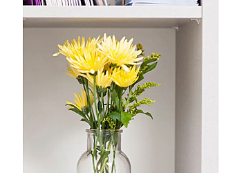 Dr. med. Isabell Marxsen photo Dr. med. Isabell Marxsen