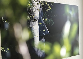 Dr. med. Judith Volmer image Dr. med. Judith Volmer