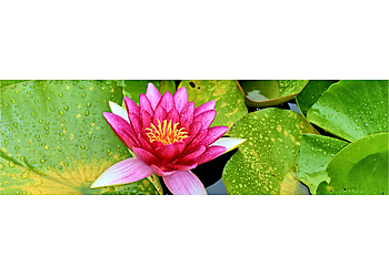 Dr. med. Sergej Strasser photo Dr. med. Sergej Strasser