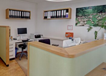 Dr. med. dent. Bettina Ferrari image Dr. med. dent. Bettina Ferrari