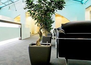 Dr. med. dent. Wolf Ullrich Mehmke image Dr. med. dent. Wolf Ullrich Mehmke