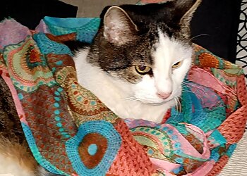 Dr.med.vet. Andreas Fiolna image Dr.med.vet. Andreas Fiolna