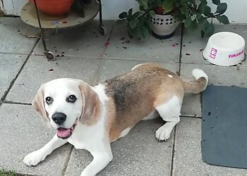 Dr. med. vet. Michael Eichner image Dr. med. vet. Michael Eichner