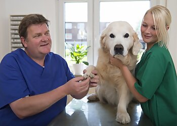 Dr. med. vet. Rainer Thomsen photo Dr. med. vet. Rainer Thomsen