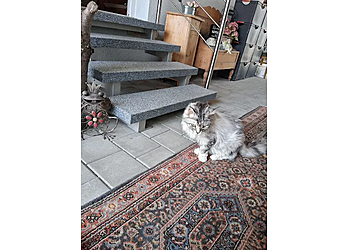 Dr.med.vet. Ulf-Dieter Pauling