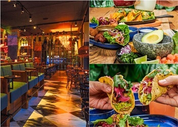 Enchilada Dresden image Enchilada Dresden