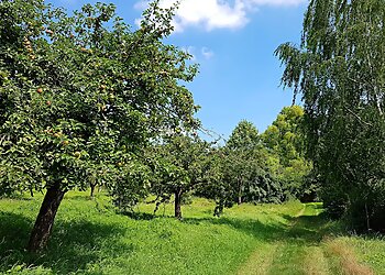 Enkheimer Ried image Enkheimer Ried