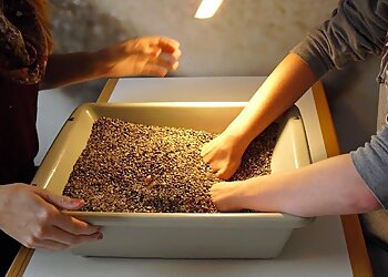 Ergotherapie Engelke image Ergotherapie Engelke