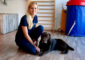 Ergotherapie Monika Drissen photo Ergotherapie Monika Drissen