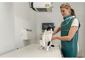 FACHTIERÄRZTLICHE KLEINTIERPRAXIS Dr. Claudia Veit & Alexander Rummel photo FACHTIERÄRZTLICHE KLEINTIERPRAXIS Dr. Claudia Veit & Alexander Rummel