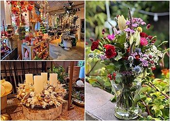 Flores Hein & Flügel image Flores Hein & Flügel