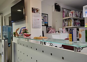 Fachtierarzt-Zentrum für Kleintiere Dr. Bodo Kröll & Kollegen photo Fachtierarzt-Zentrum für Kleintiere Dr. Bodo Kröll & Kollegen