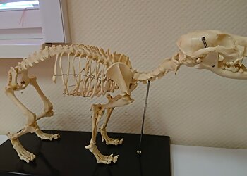 Fachtierarztpraxis Am Erzberg photo Fachtierarztpraxis Am Erzberg