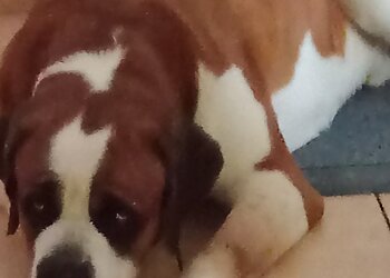 Fachtierarztpraxis Am Erzberg image Fachtierarztpraxis Am Erzberg