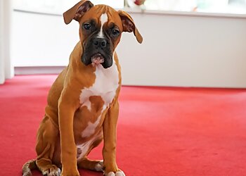 Fachtierarztpraxis Oldenburg image Fachtierarztpraxis Oldenburg