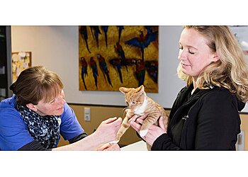 Fachtierärztliche Praxis Dr. Hettling photo Fachtierärztliche Praxis Dr. Hettling