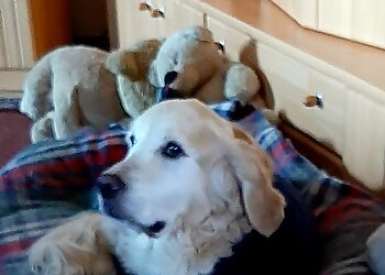 Fachärztliches Zentrum–Dr. Helge Tholen image Fachärztliches Zentrum–Dr. Helge Tholen