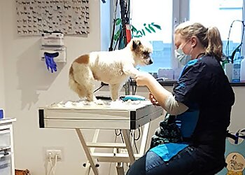 FellFormat Hundesalon & Fellpflege für Katzen photo FellFormat Hundesalon & Fellpflege für Katzen