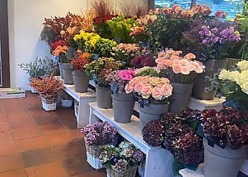 Flora-Point Oberhausen image Flora-Point Oberhausen