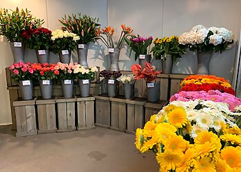 Florex Blumen GmbH image Florex Blumen GmbH