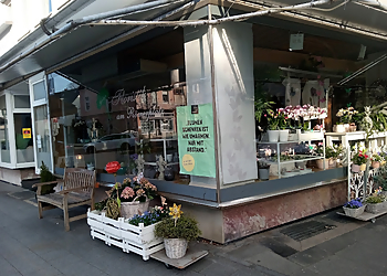 Floristik am Römerplatz-Flowersbymasen photo Floristik am Römerplatz-Flowersbymasen