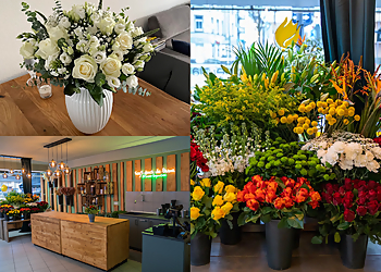 Floristik am Römerplatz-Flowersbymasen image Floristik am Römerplatz-Flowersbymasen